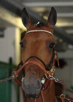 Random Shot 130808-2